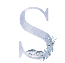 Letter S with mountains and florals